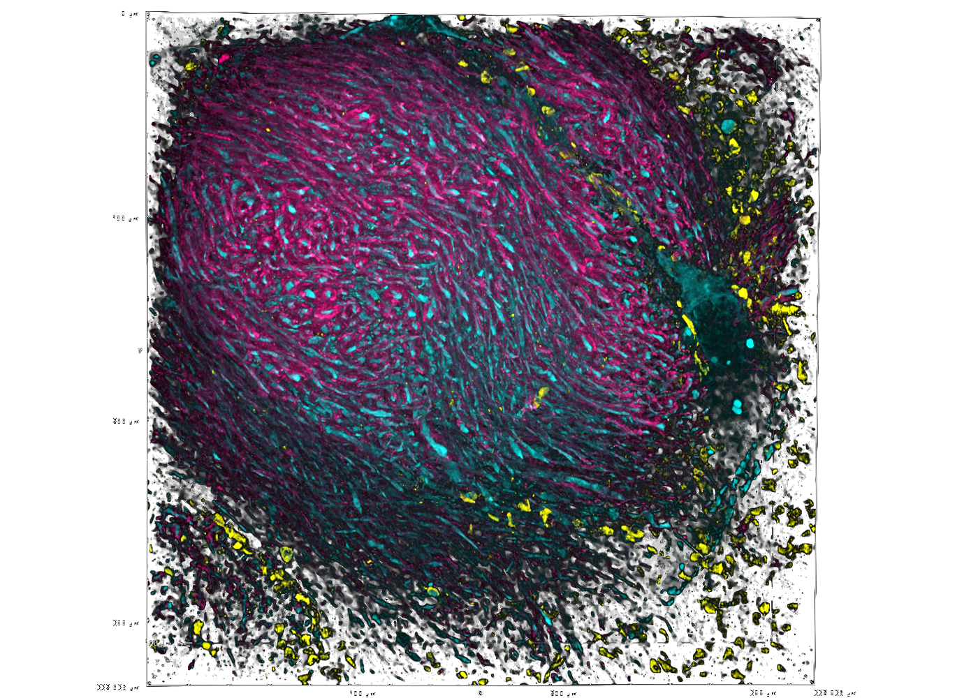 image of cells