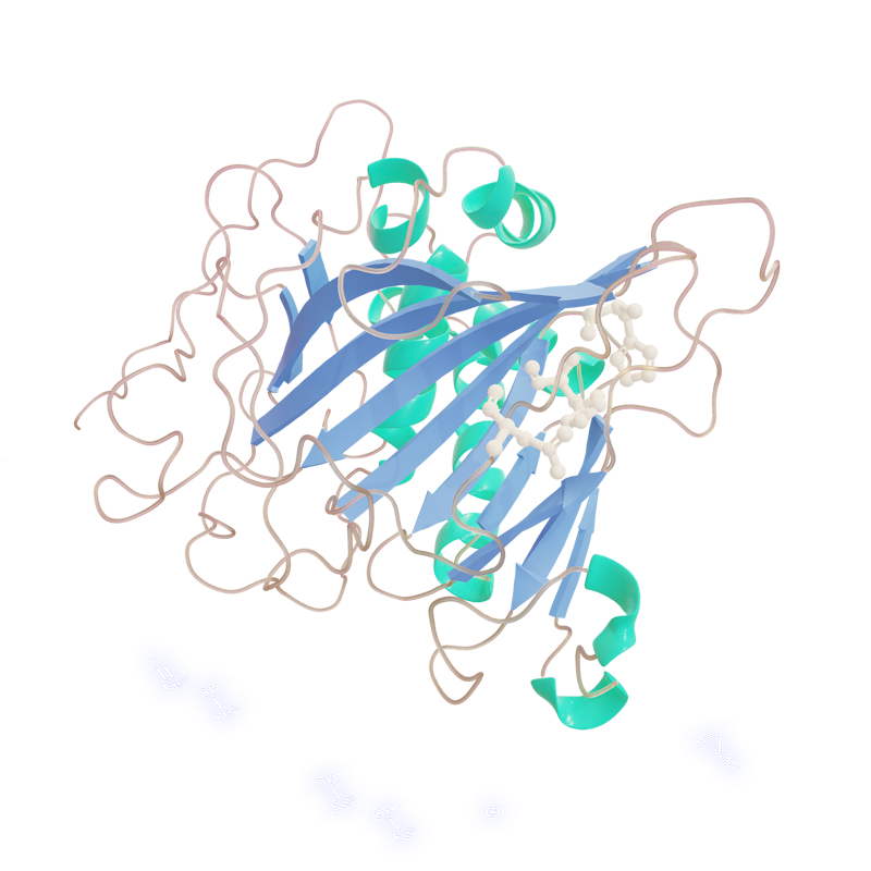 Guo protein