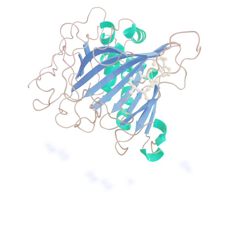 guo protein