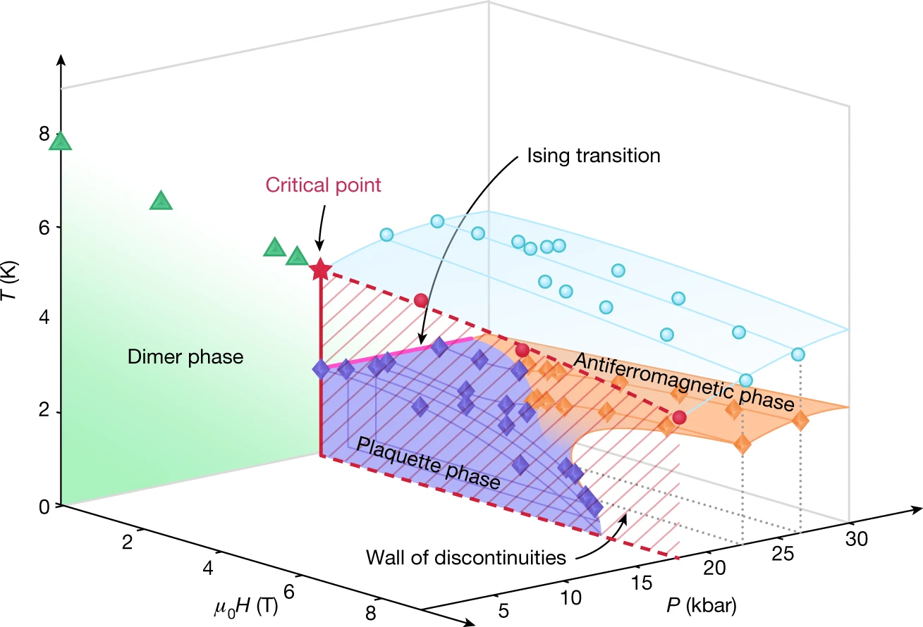 Phase diagram of SrCu2(BO3)2 in pressure, field and temperature.