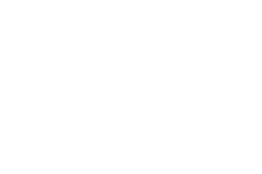 img_nsf-funds-neocortex NSF Funds Neocortex