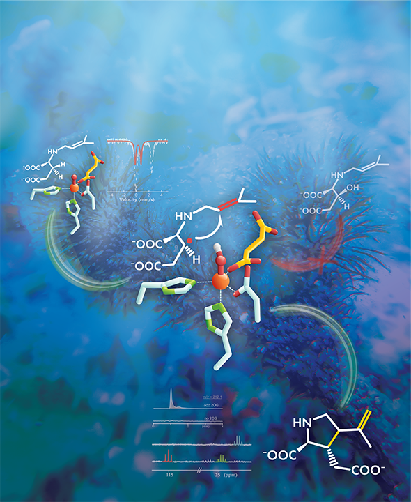 rb_chemicals-help-discover chemicals help discover mechanism behind important biosynthetic reaction